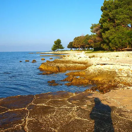With A - C In Porec-istrien 42534 Apartment